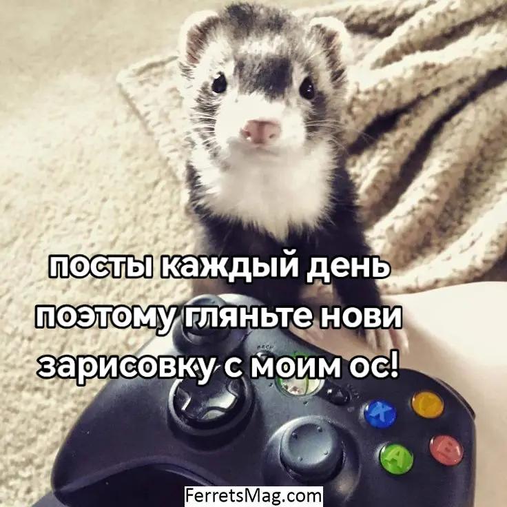 @Йоу, лаваш с гвоздями @
