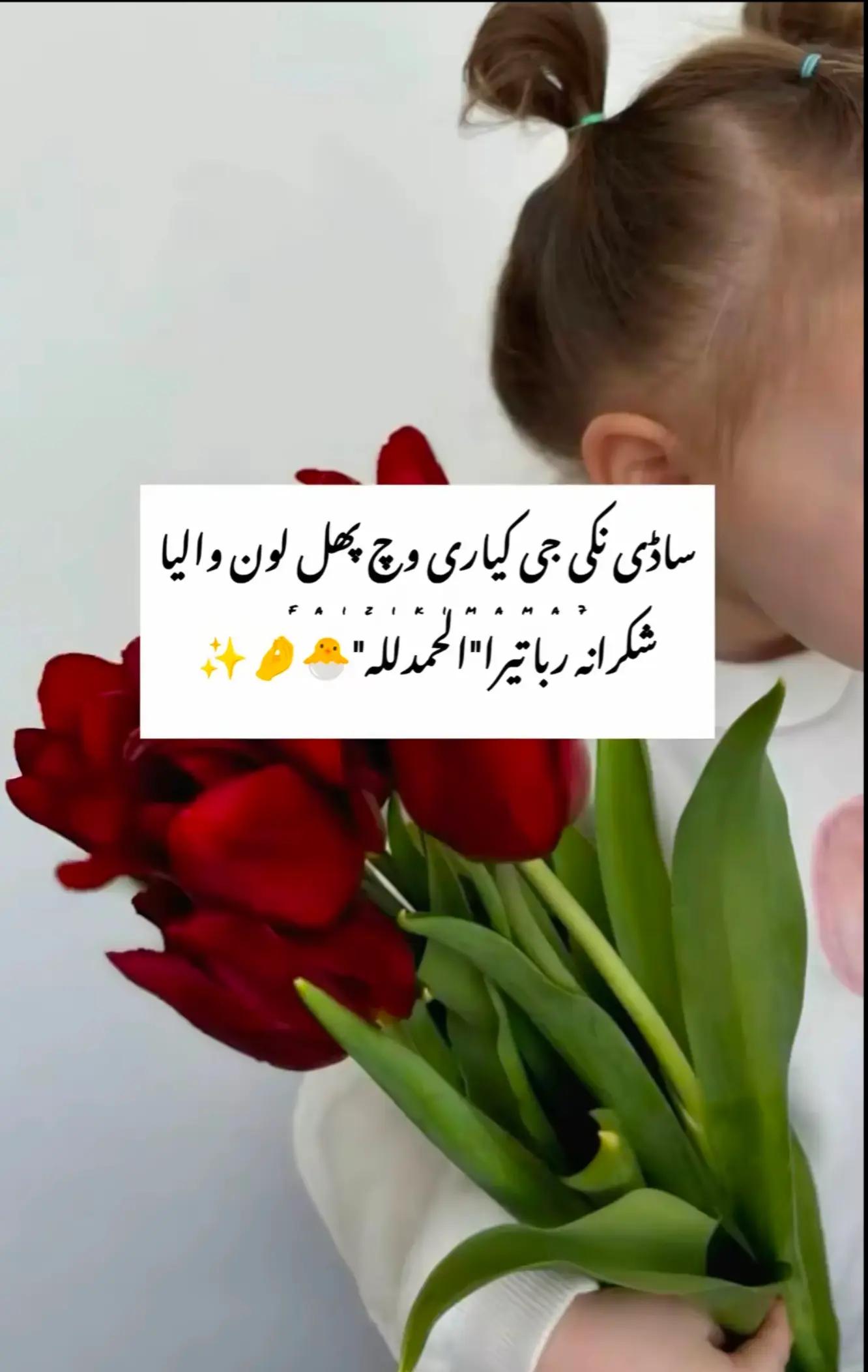 @😎 Rana.Haider 😎