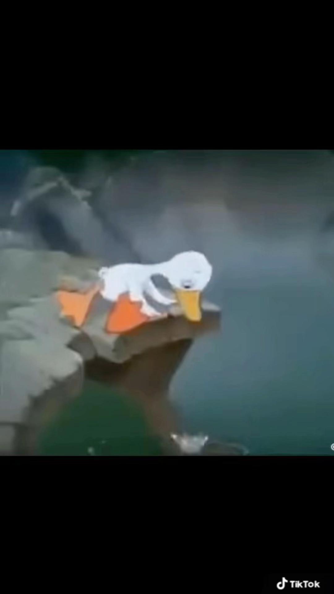 @Amanda