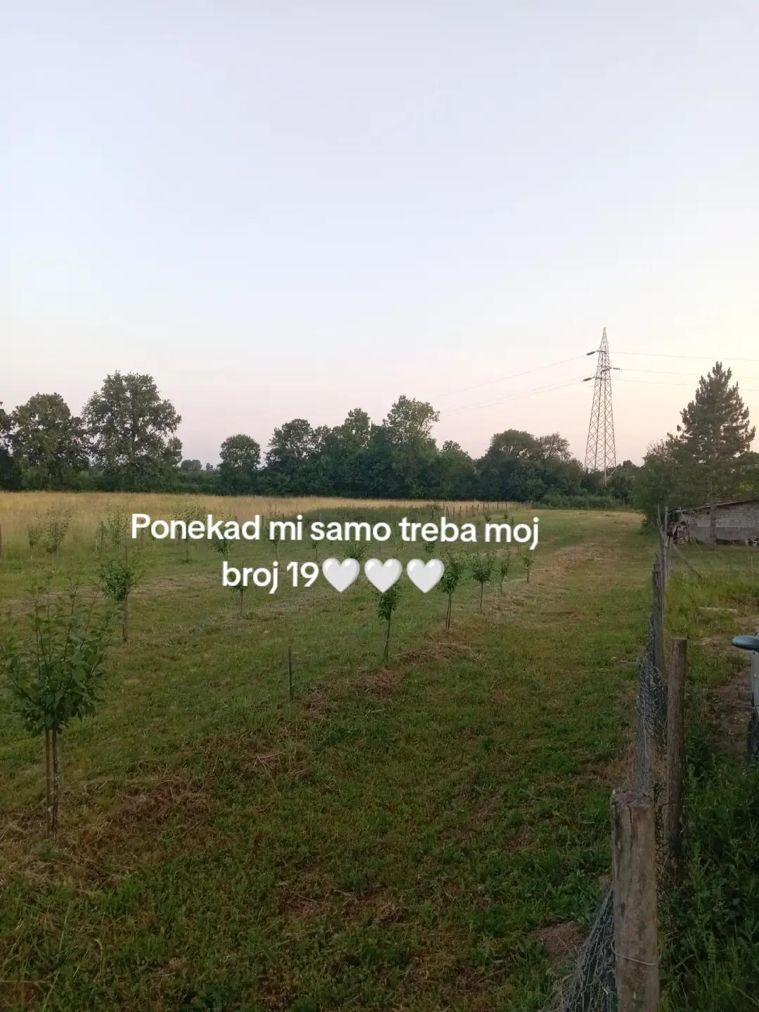 @l3n4
