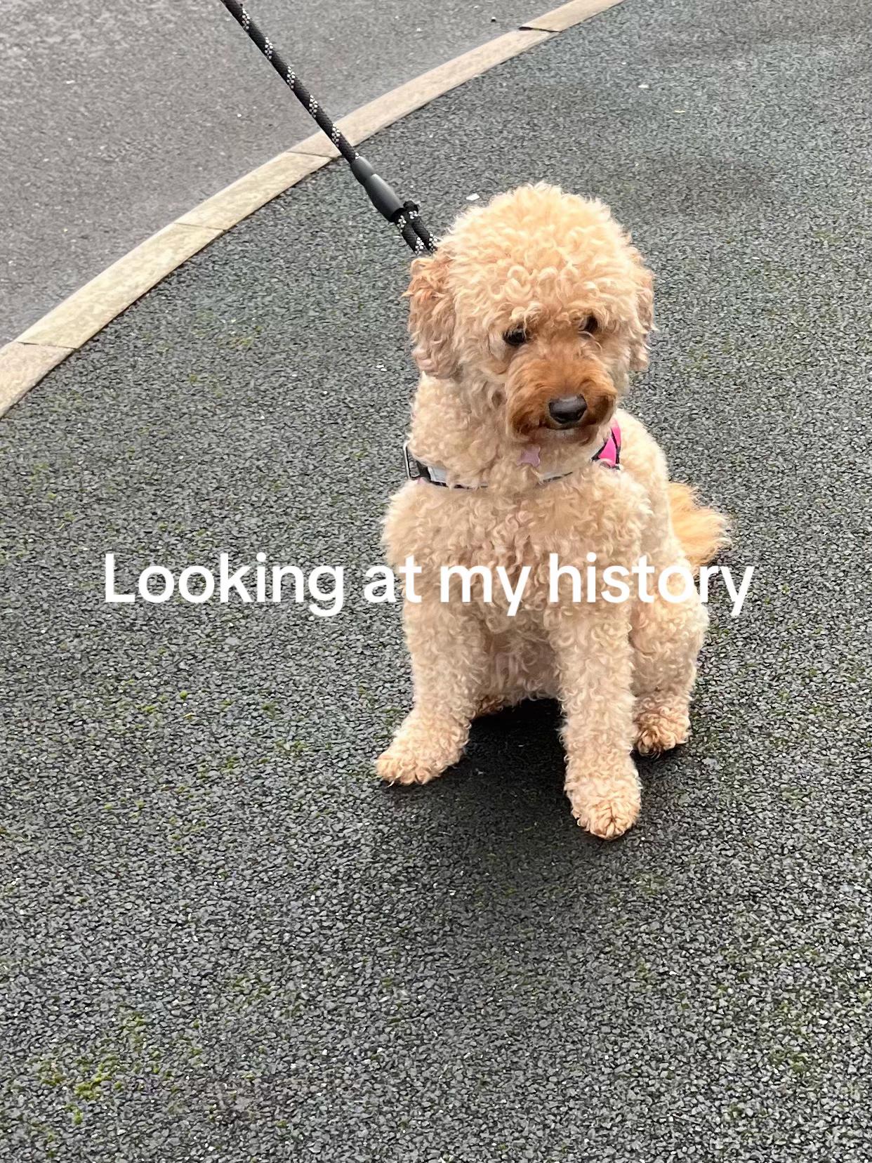 @ImogenB