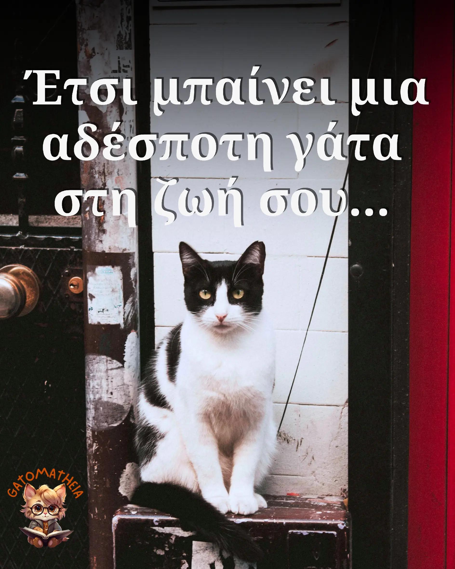 @Γατομάθεια