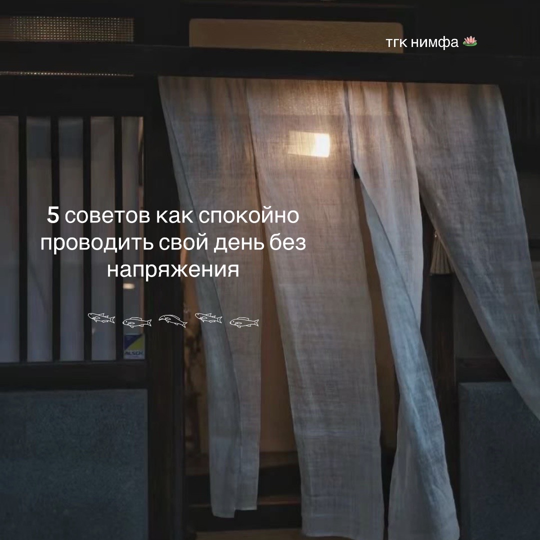 @нимфа🌲🪵