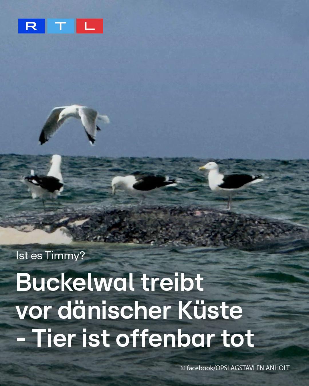@RTL Aktuell