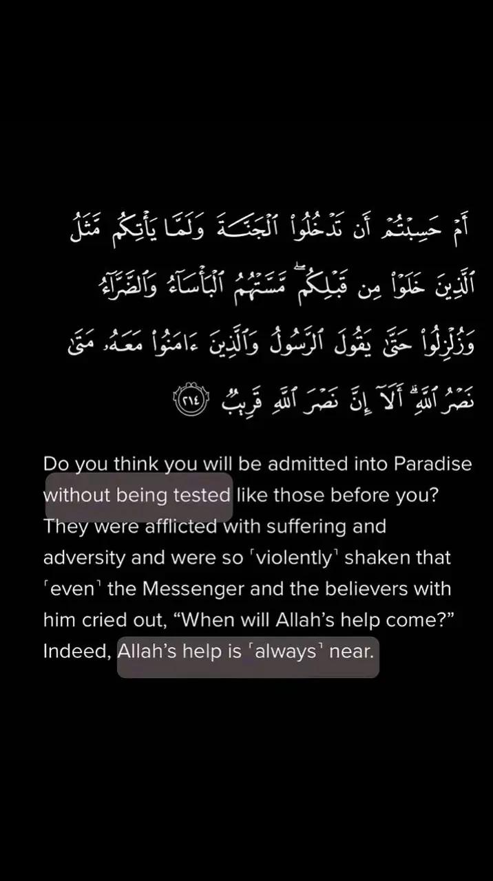@MIKHAIL Ahmed