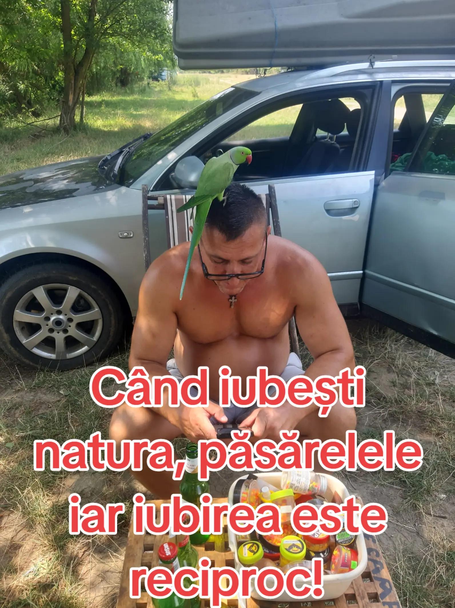@Văru Nik