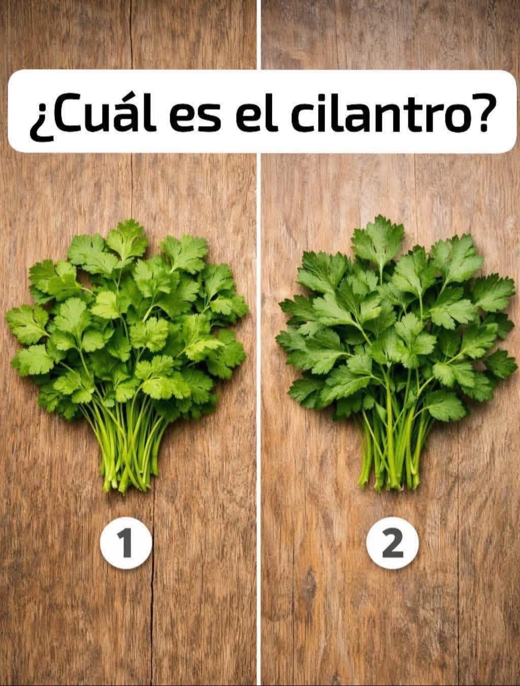 @YoooImMexican