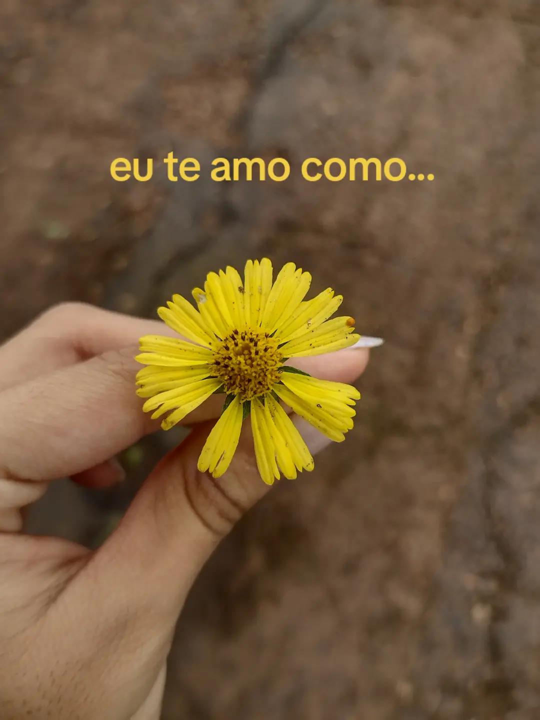 @Lê★