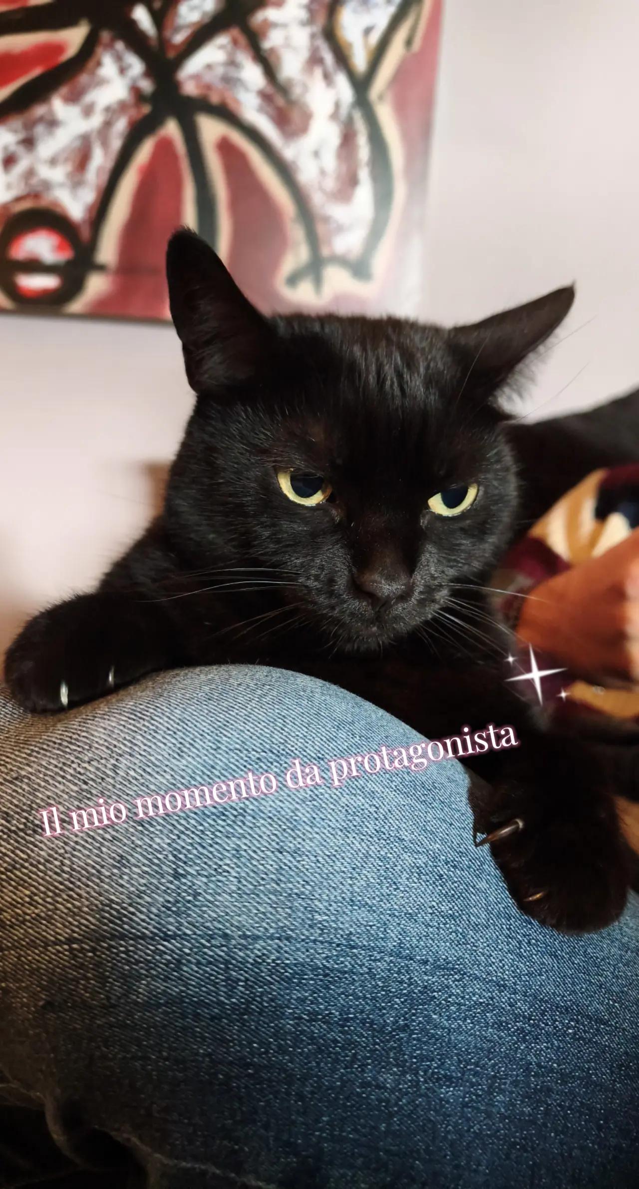 @Iza