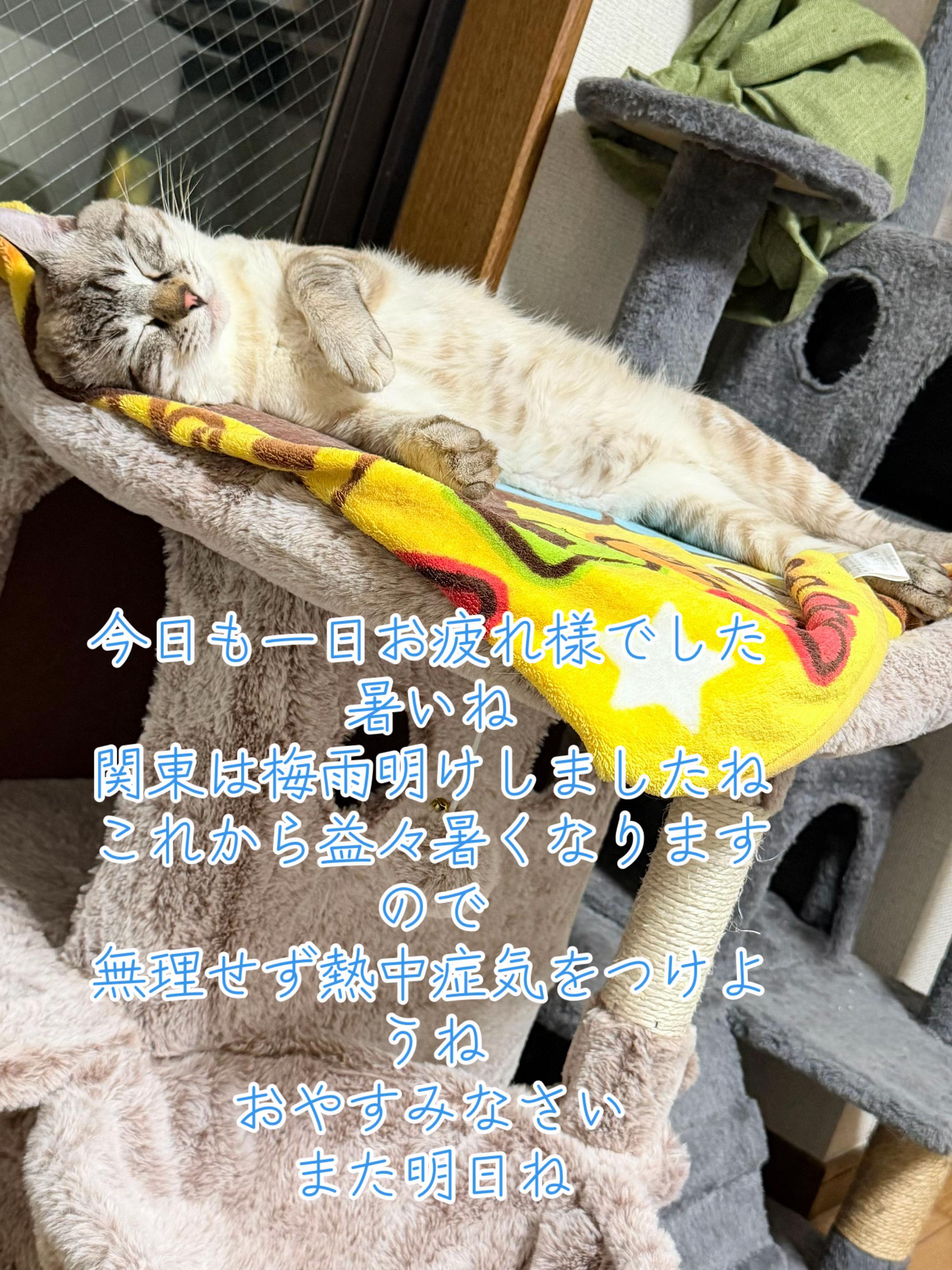 @ð¥é»æŸ€æ£å¿ð¥