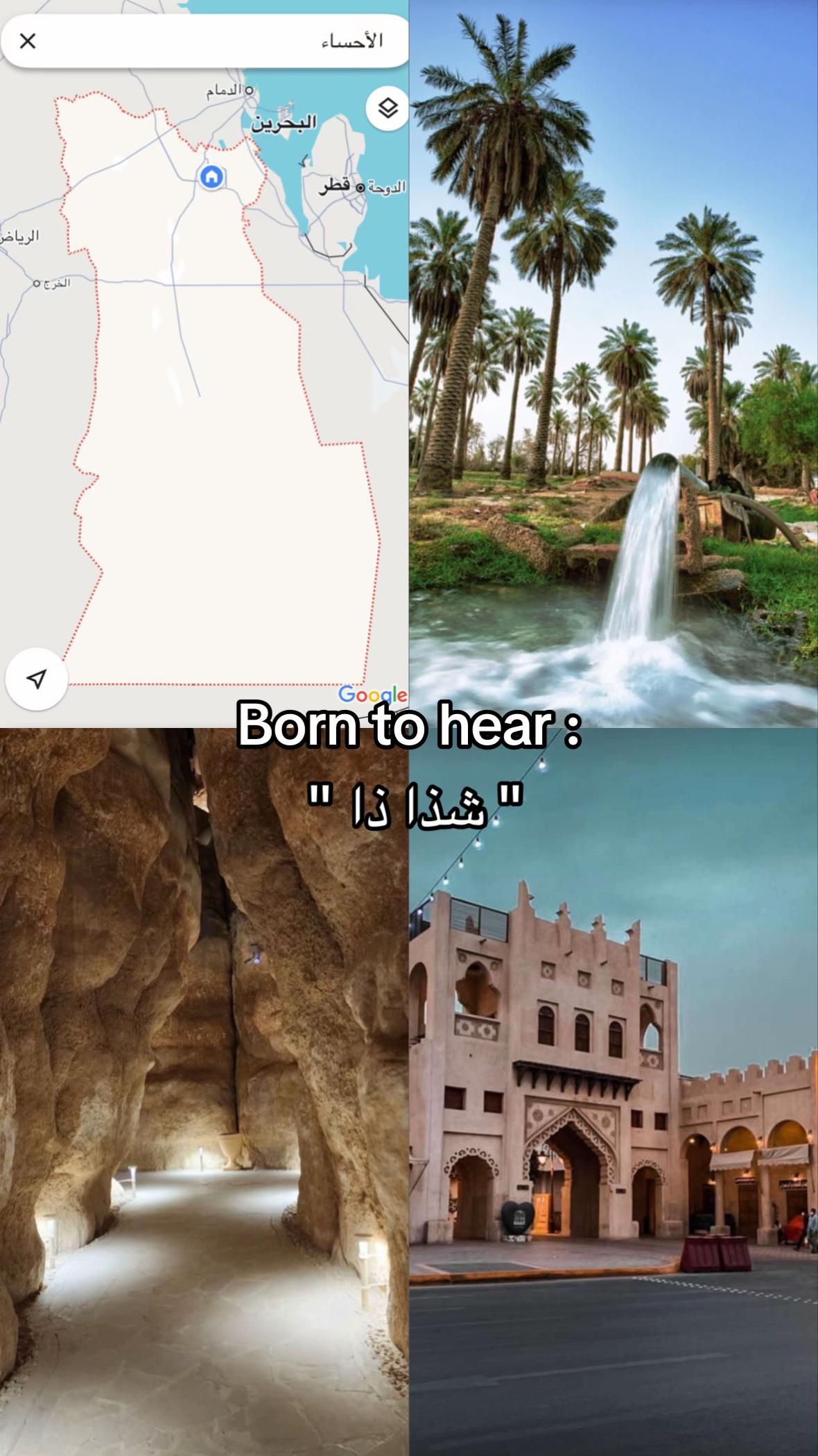 @شَهْـد.