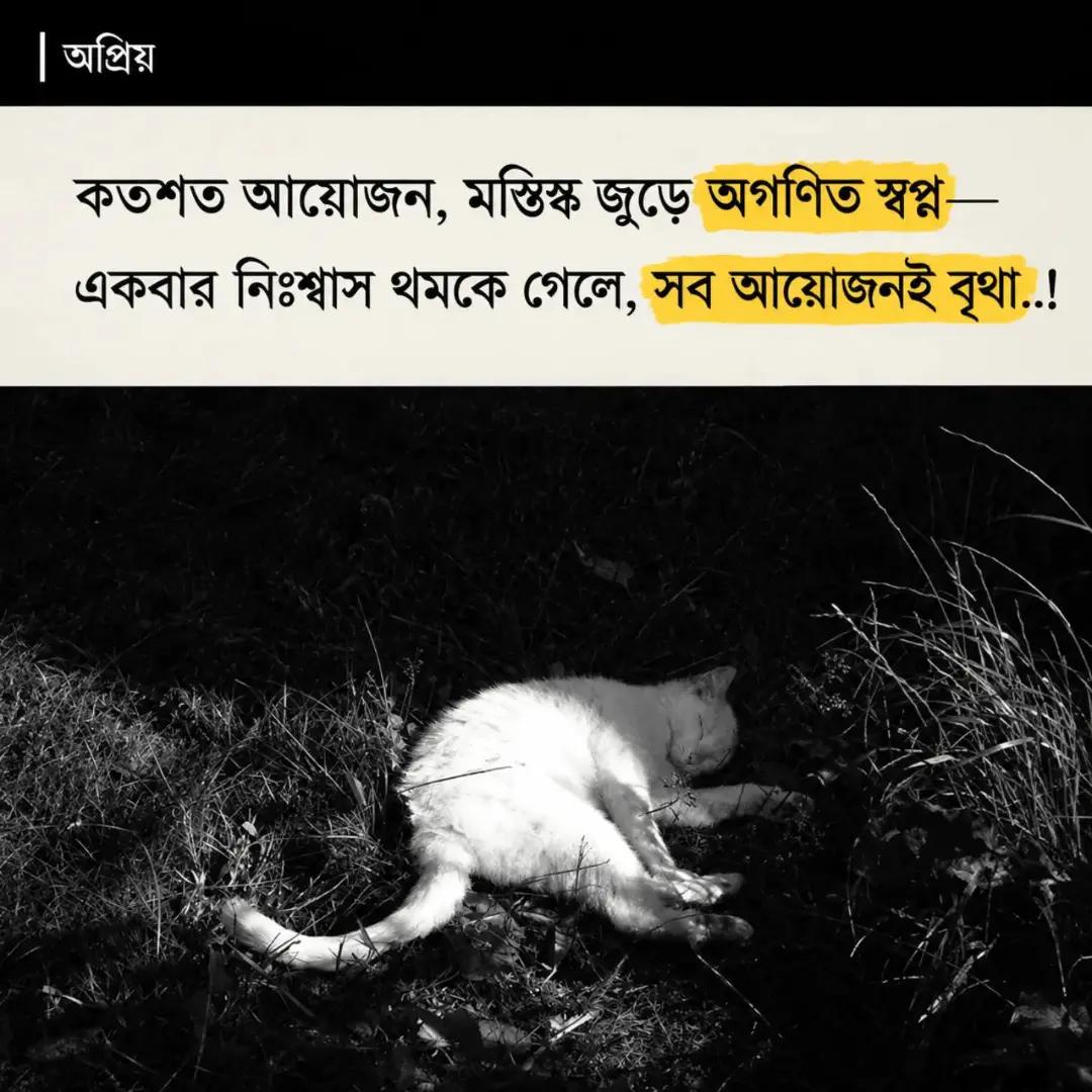 @🎧→🧃"RØBÎ BHÅĪ"🪫←🎧