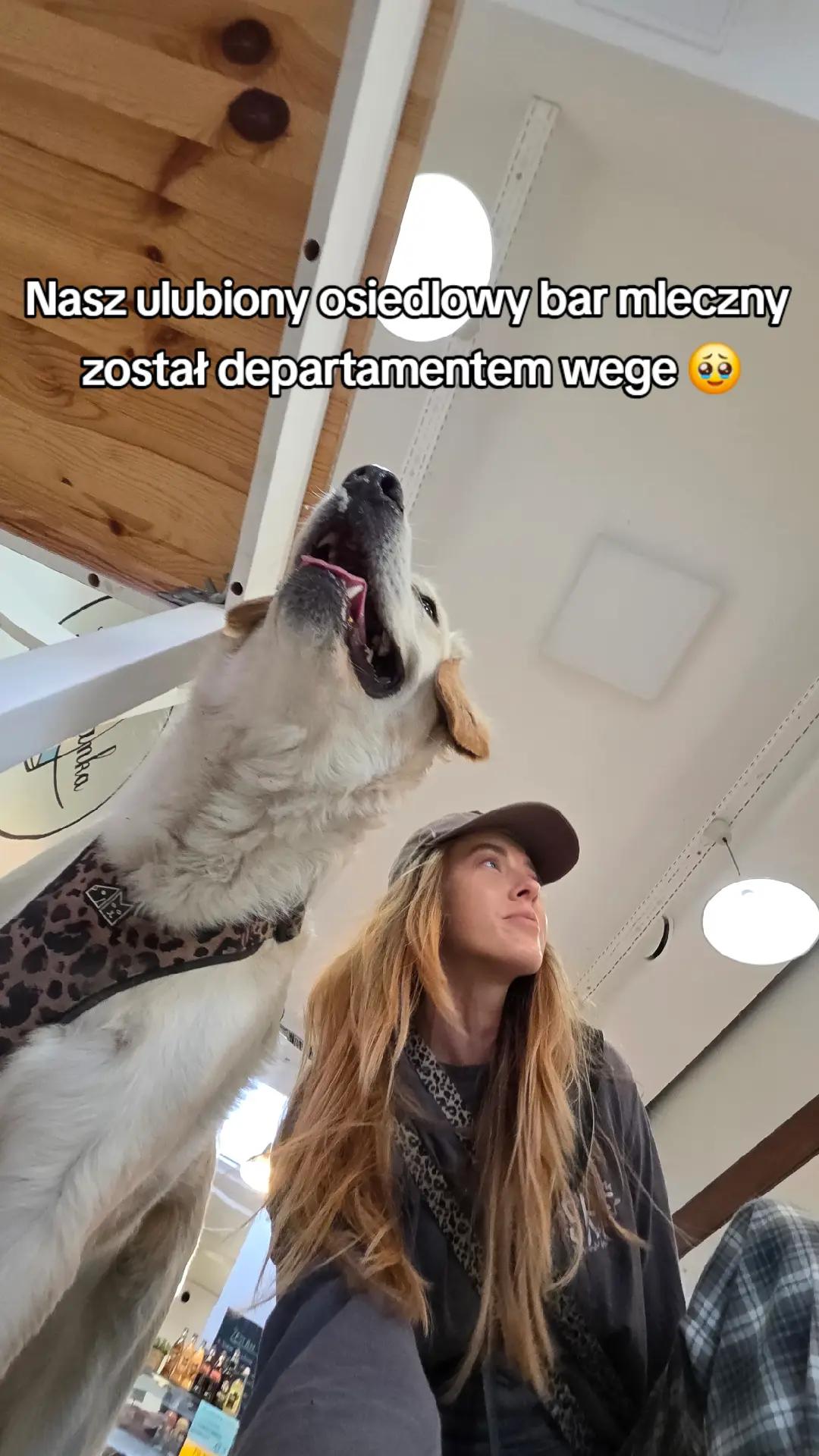 @polasobun