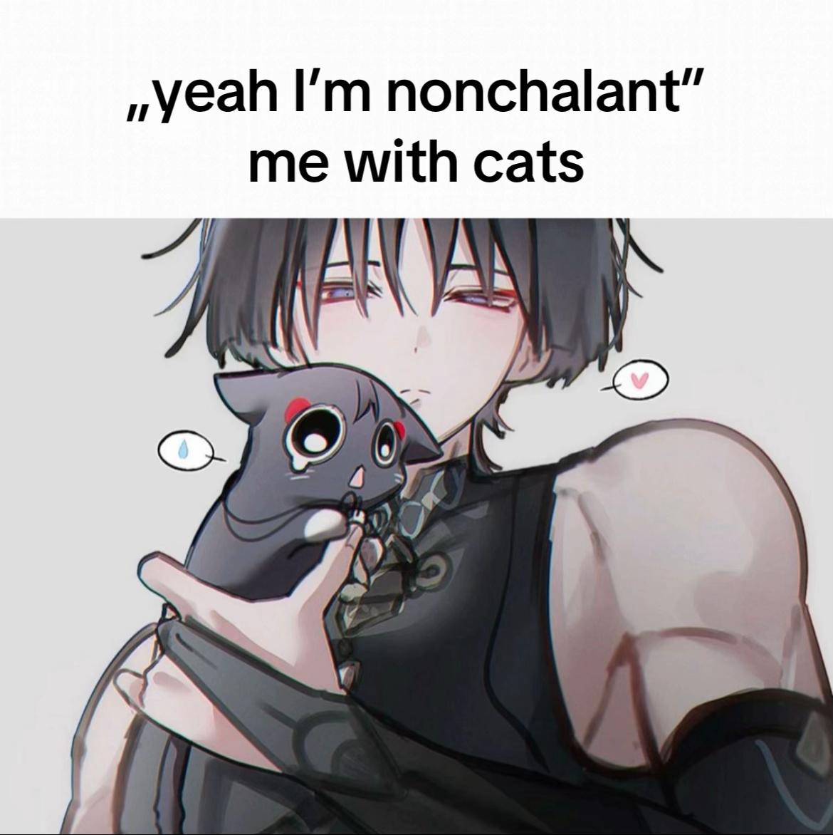 @scaras.snowball