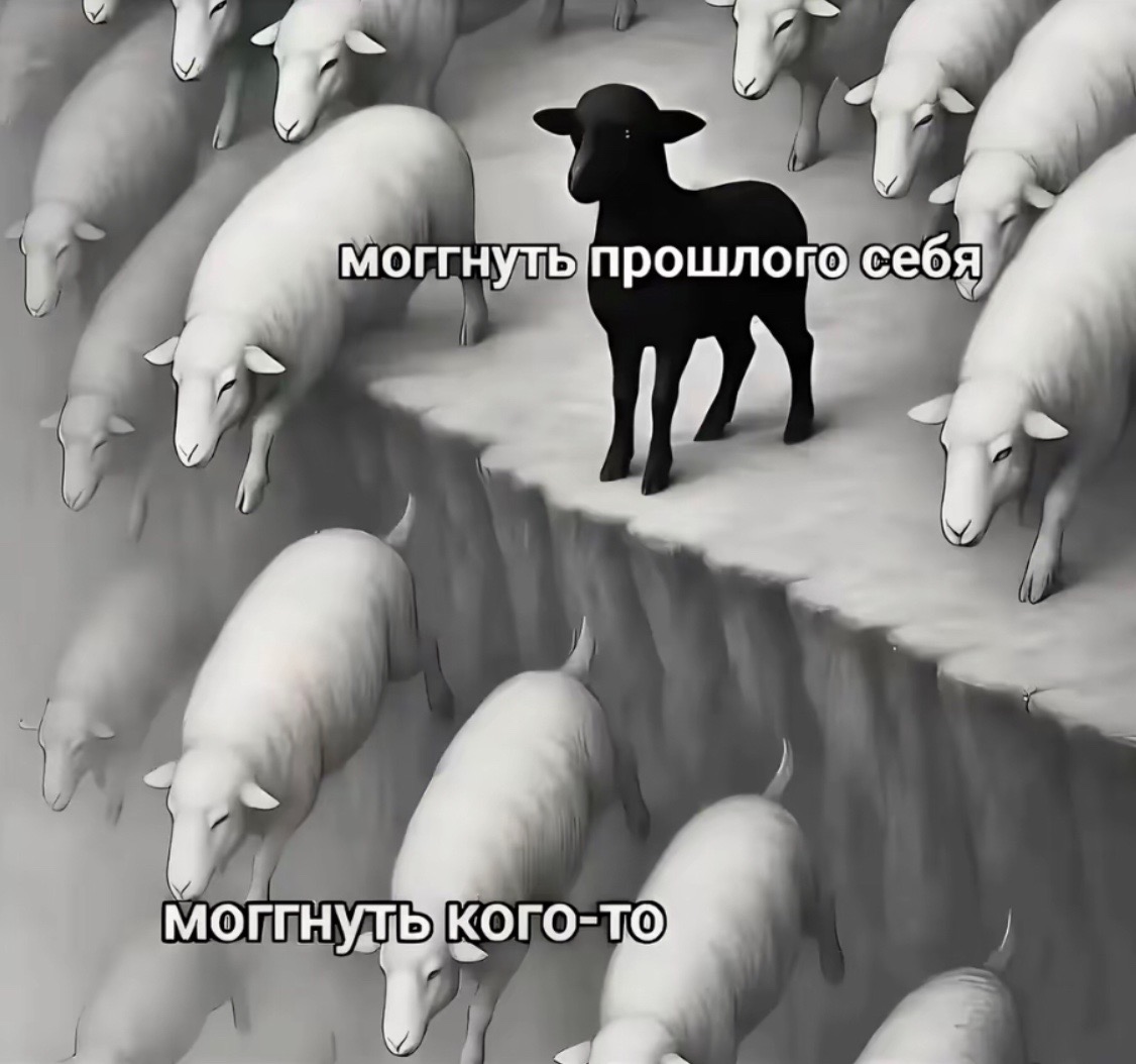 @kyzar