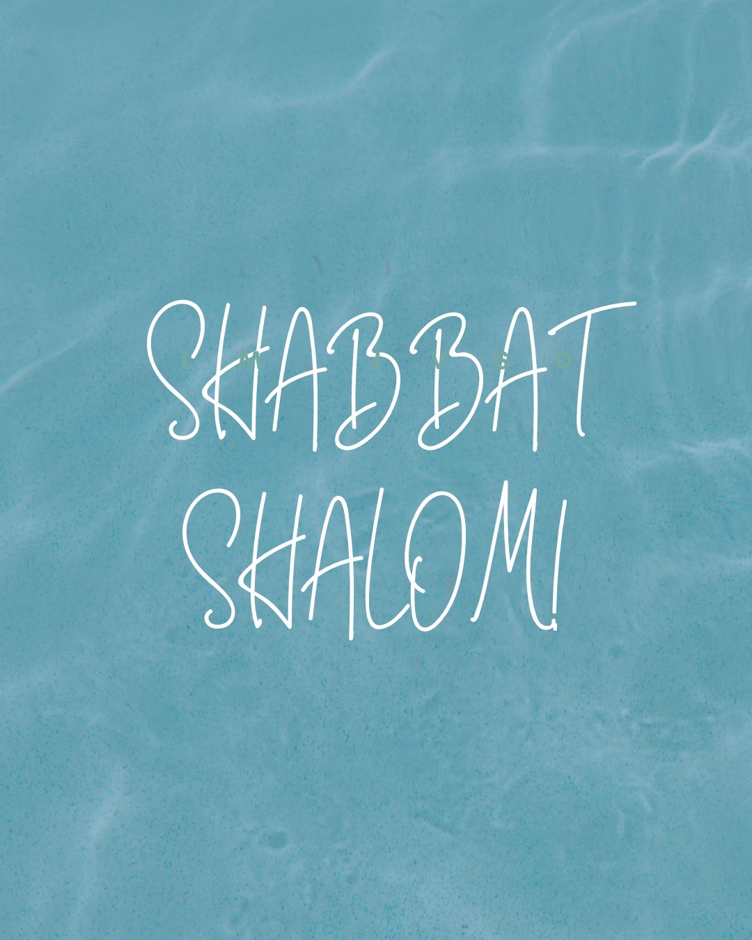 @Da Shayna Punims | Jewish swag