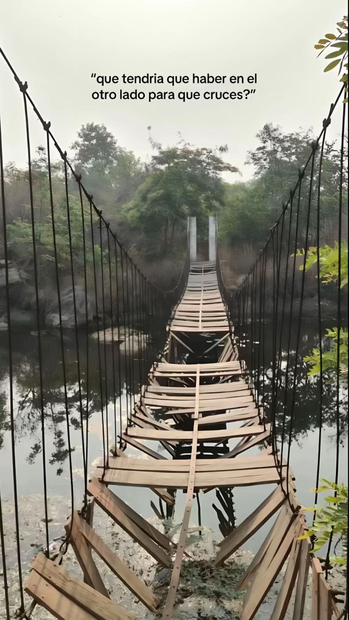 @helenita🦥