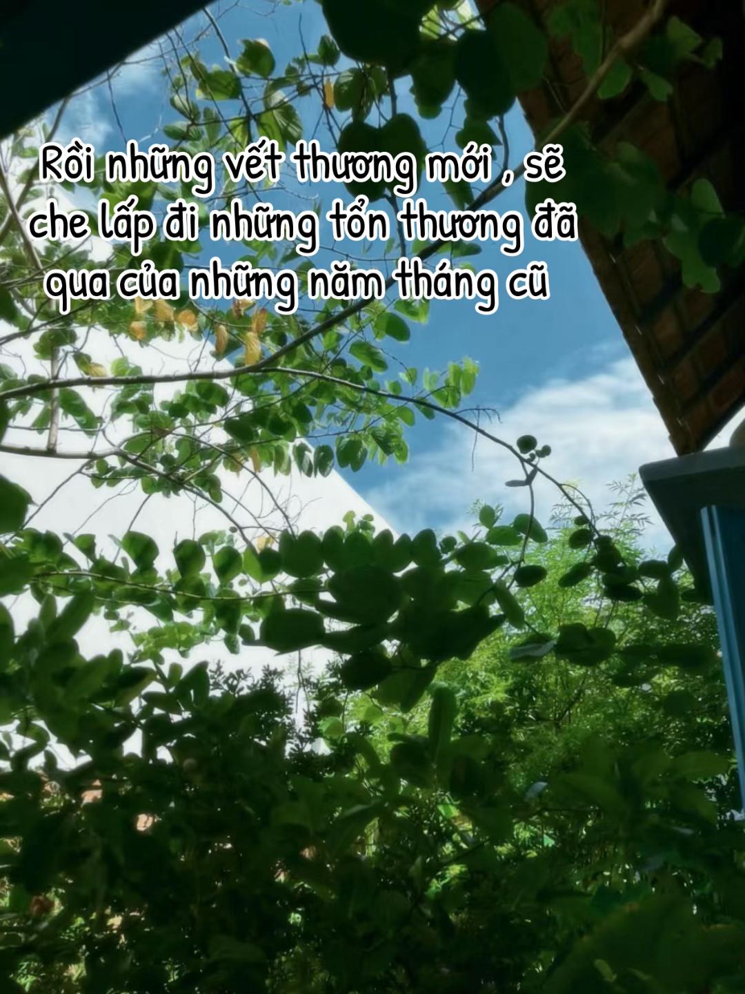 @Nhật k&iacute; rối loạn lo &acirc;u