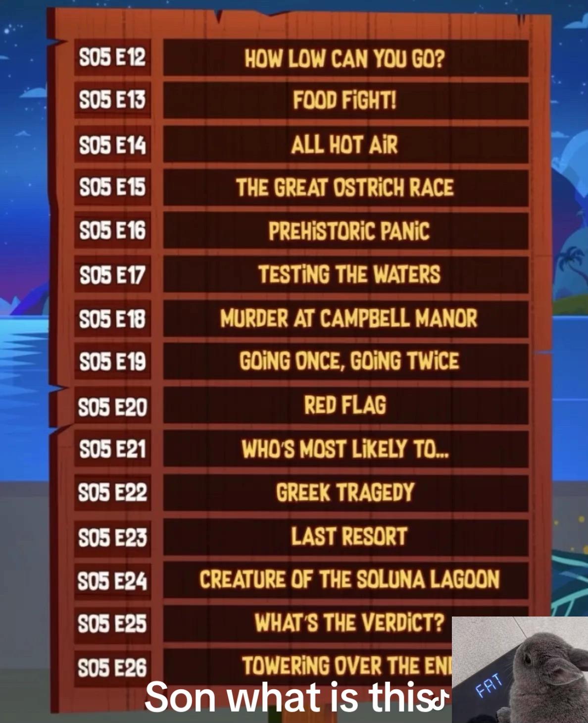 @dvc.leaker