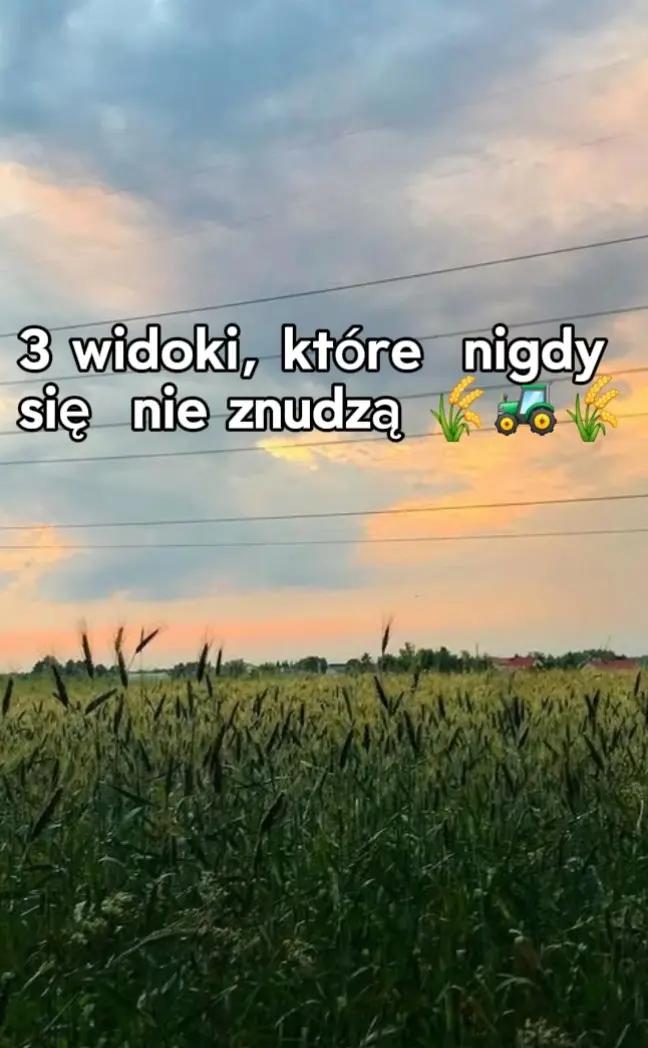 @Natusia Rolniczka 🚜