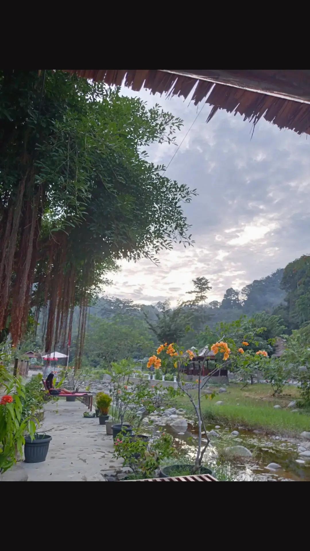 @nature life 🌿
