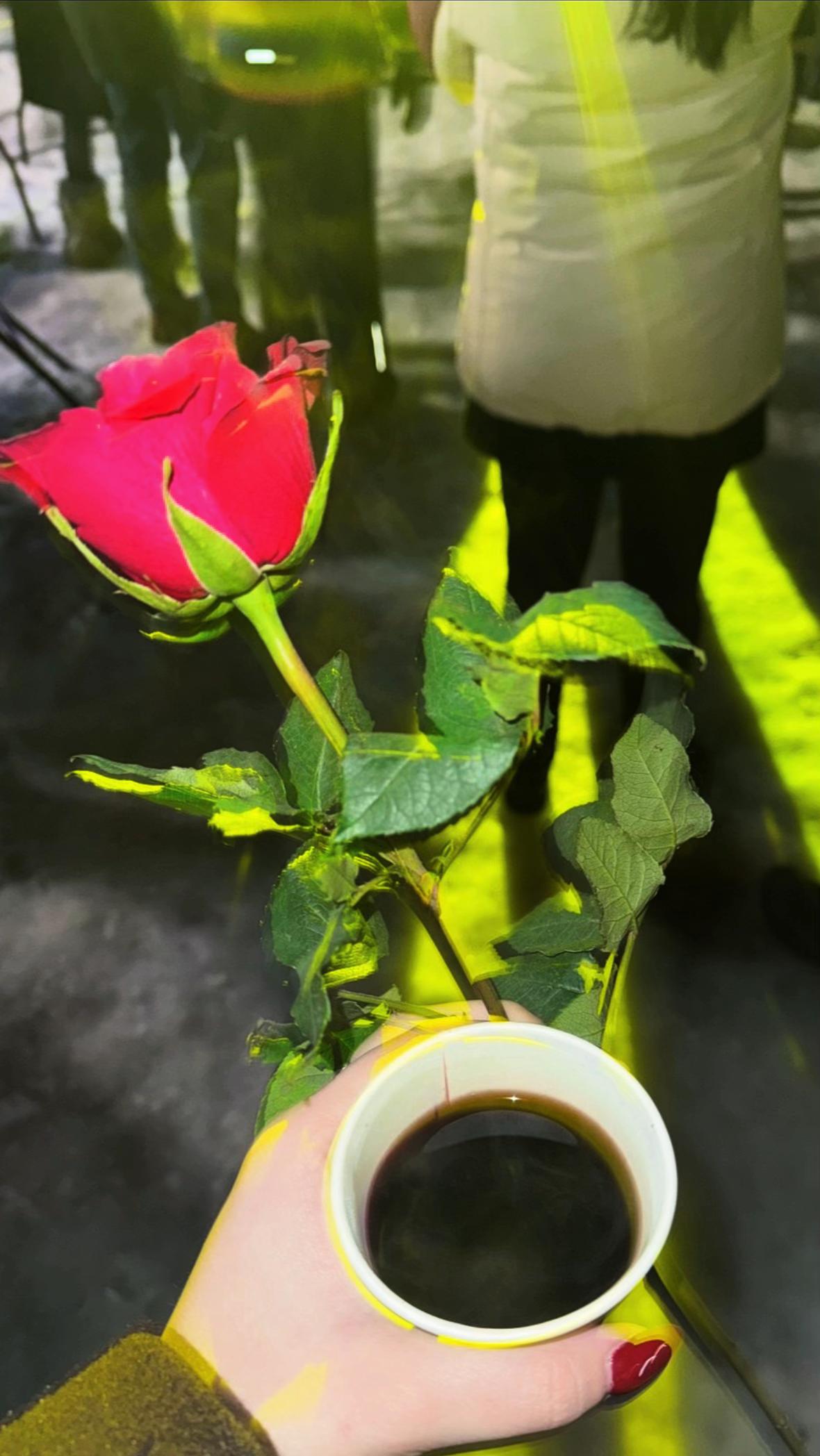 @𝕒𝕟𝕕𝕣𝕚𝕛𝕒𝕟𝕒🎀