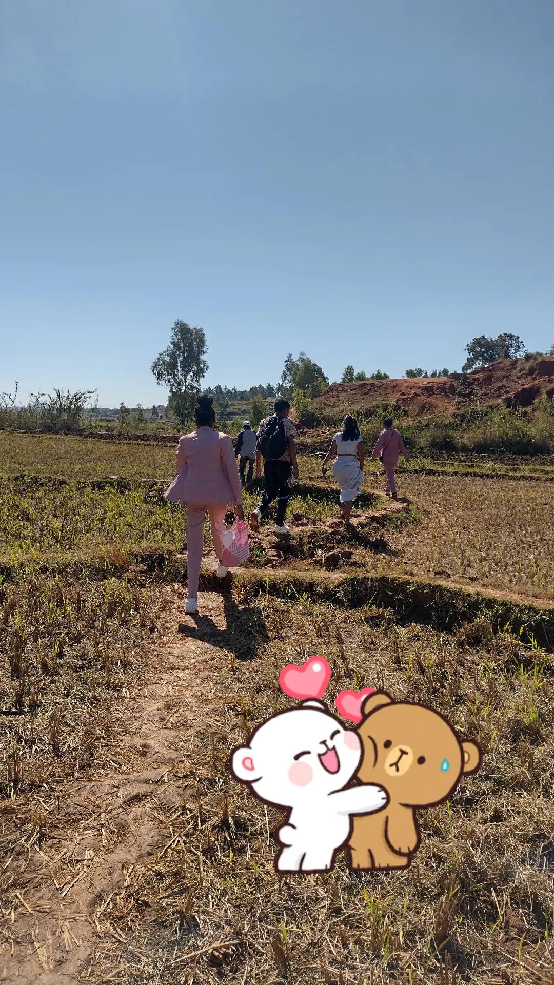 @Fandresena🧸🎀