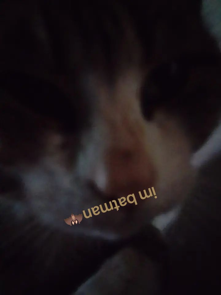 @ᖭི༏ᖫྀ