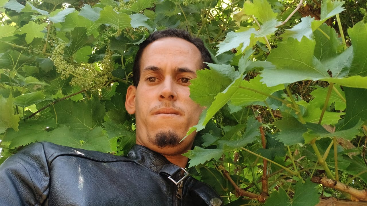 @Tihfo@ 88