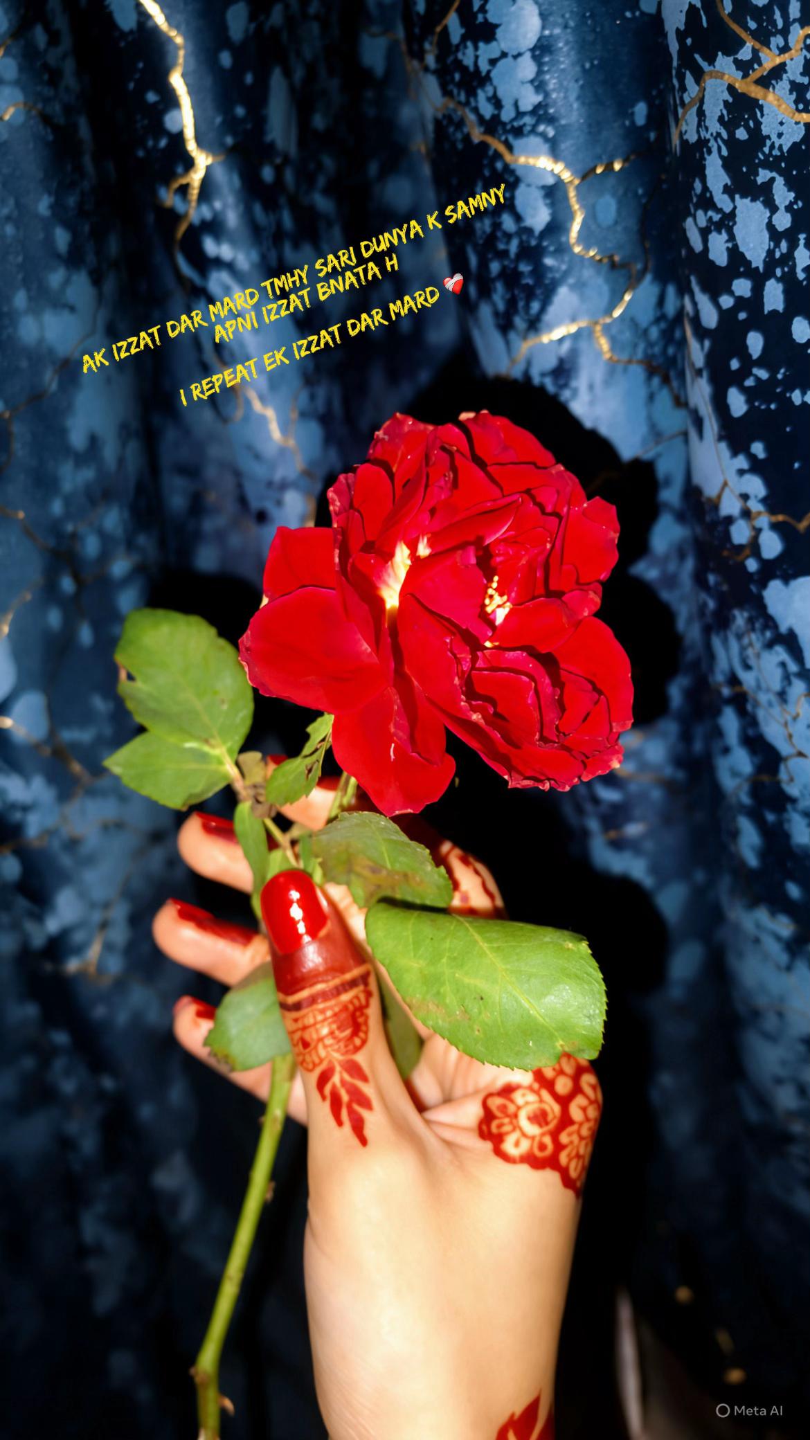 @Muskan Mazhar Official