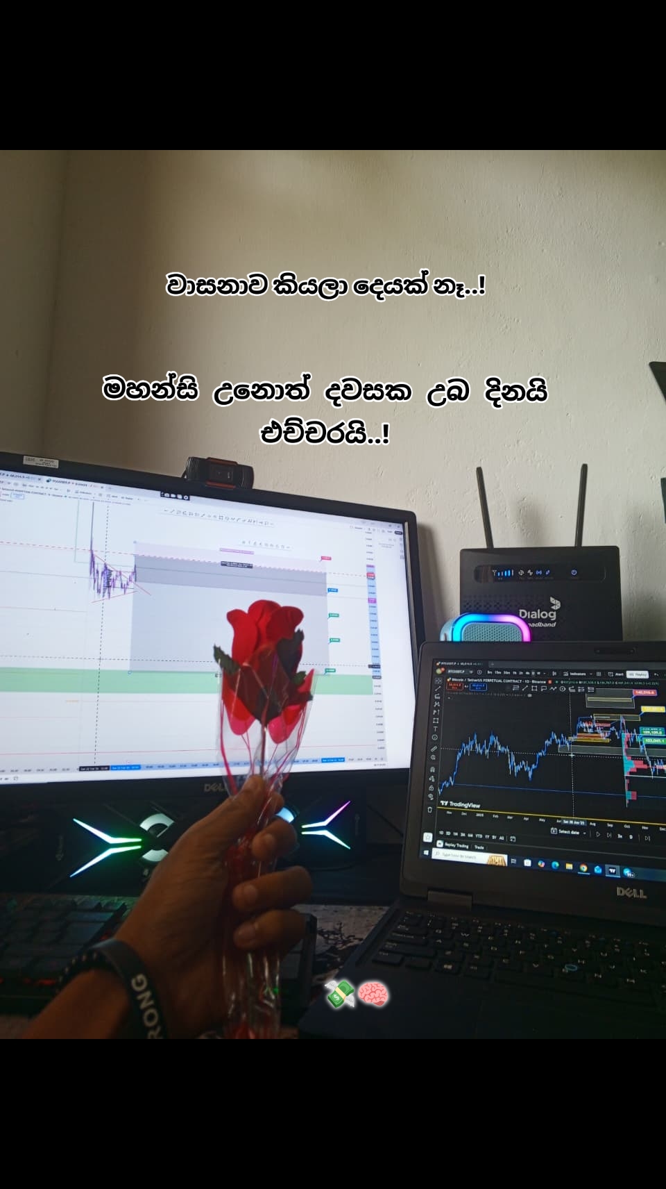 @Sandun withanage🫵