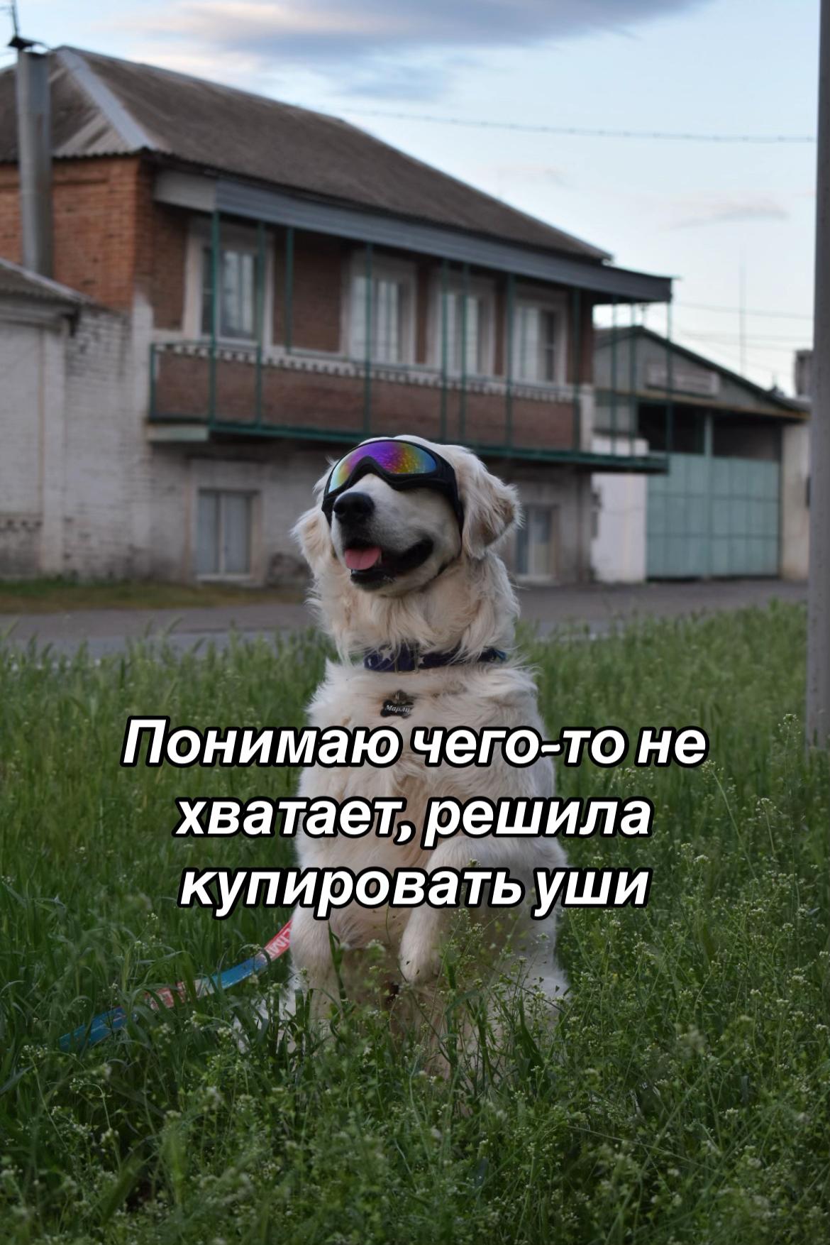 @𐔤ɯᥲᥴⲧыύ ⲙᥲρ᥈υ🥏