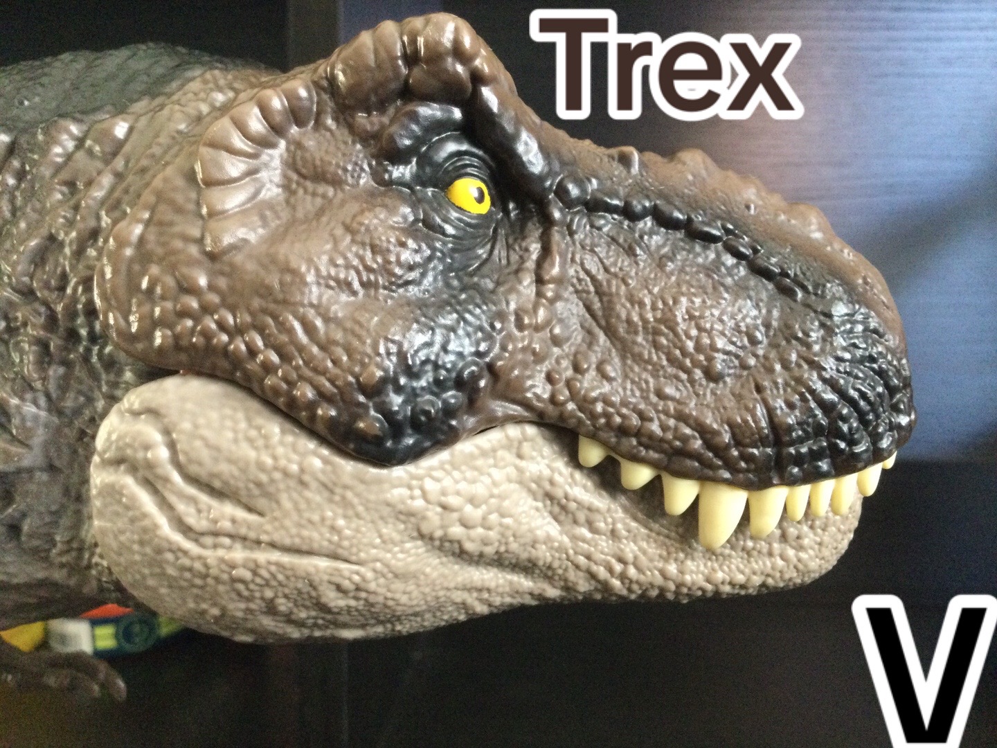 @🦖 Tobias 🦕