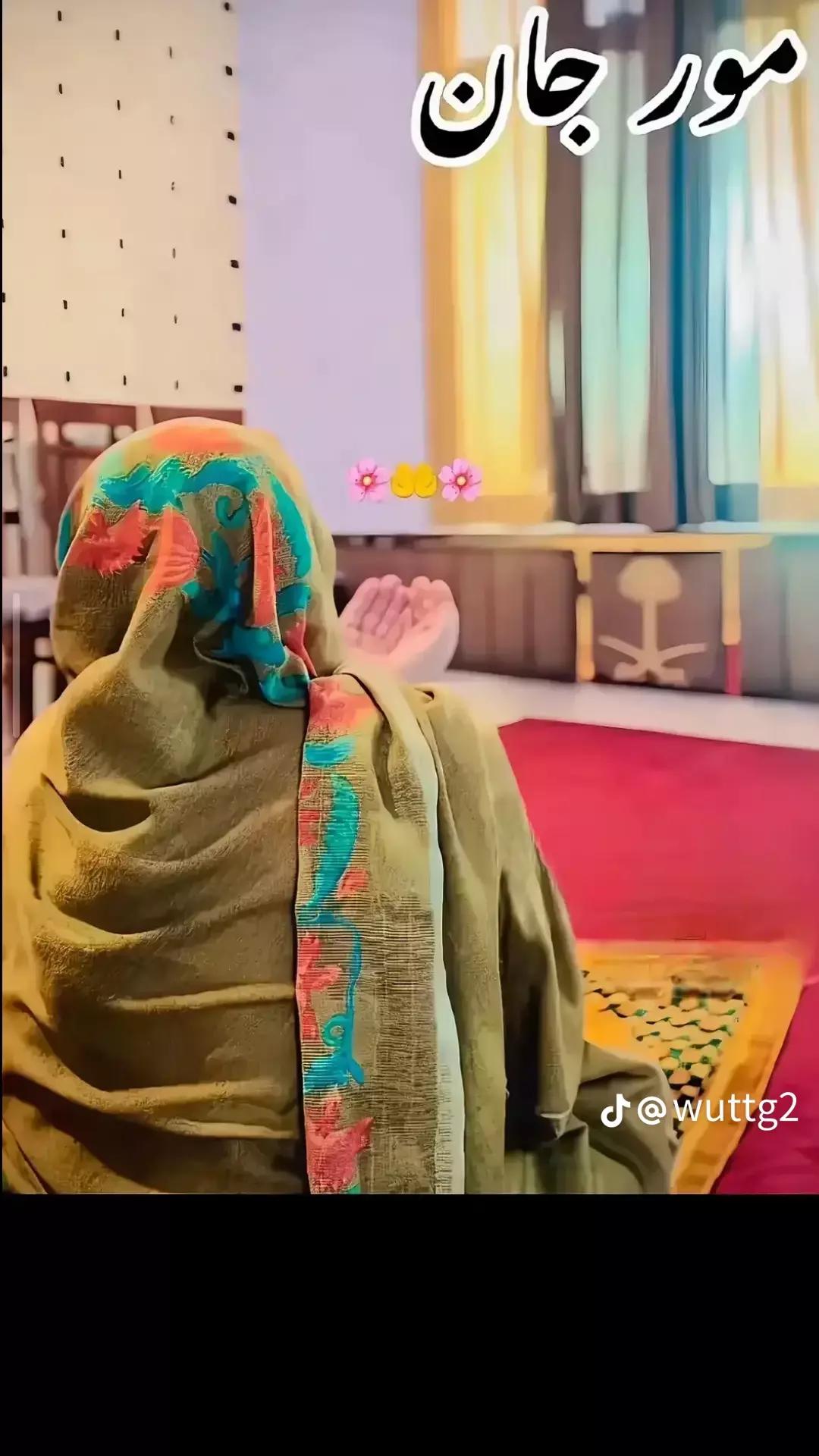 @Abbas bacha🤜