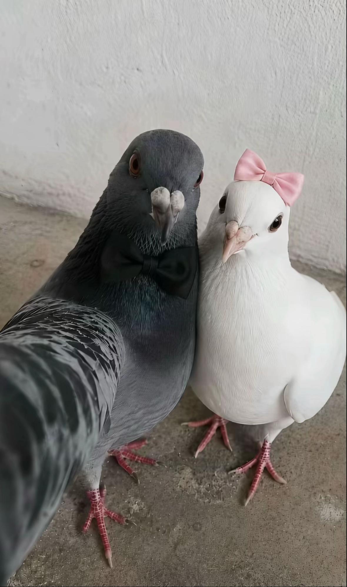 @Տҽղɑ🎀