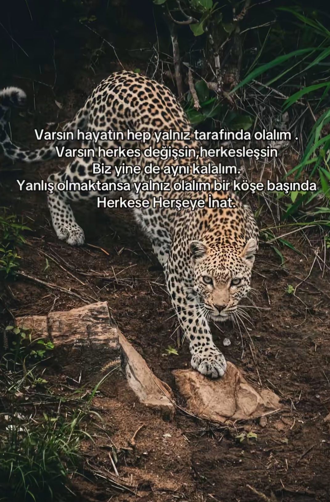 @horozcu_31
