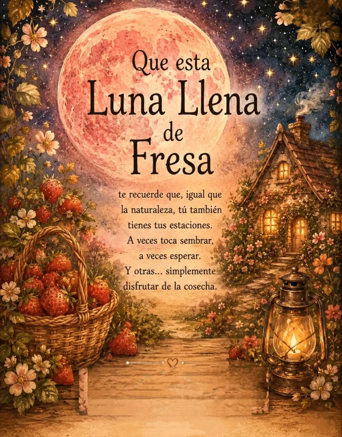 @Bruja verde solitaria 🧝♀️