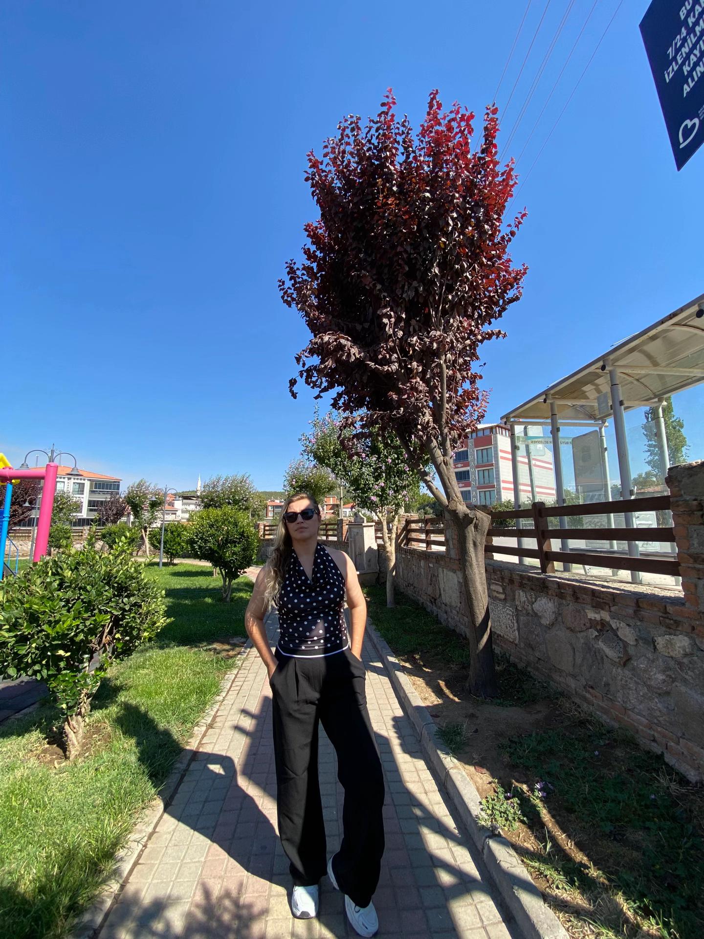 @özlem.ylmaz