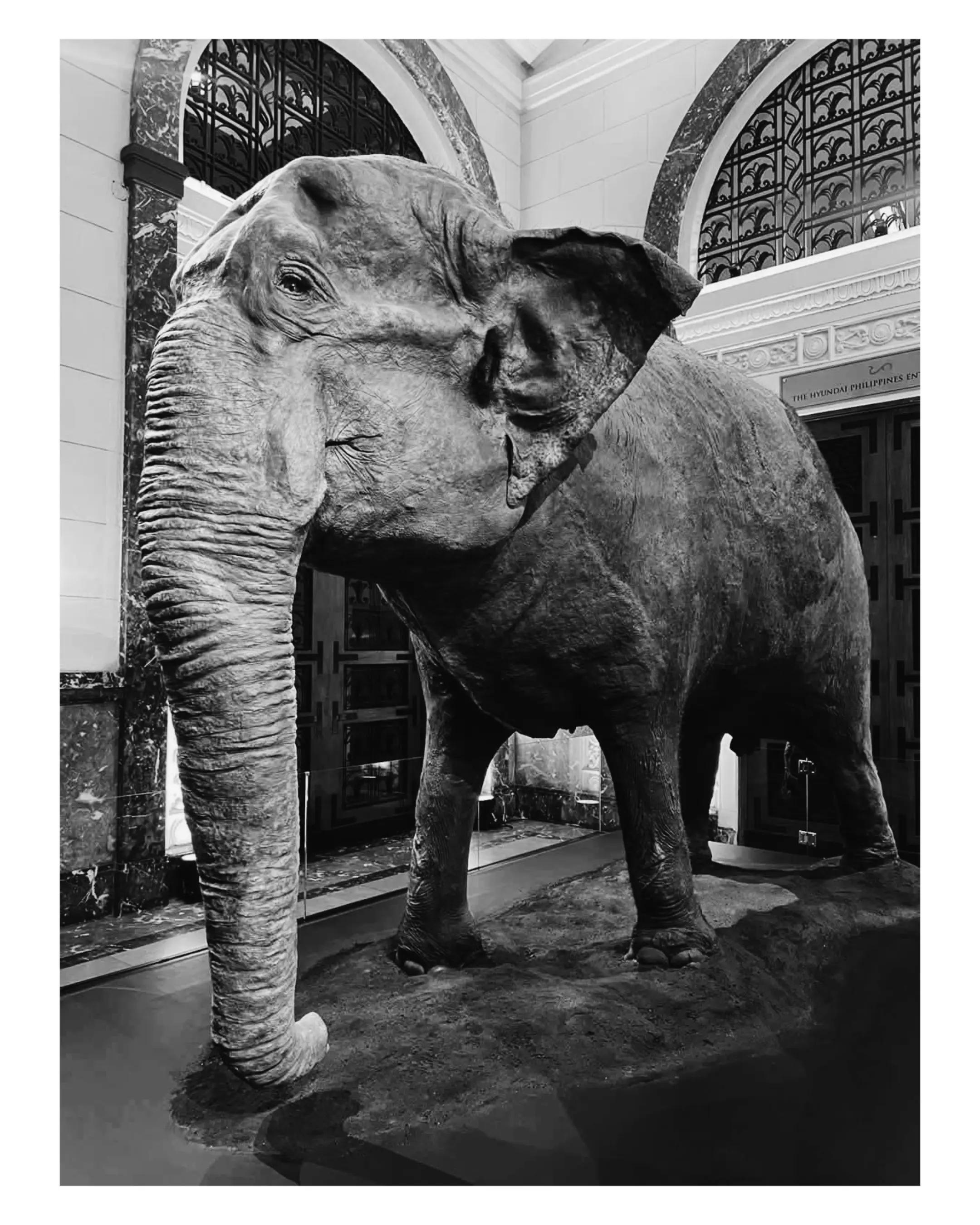 @Valerie de Haan