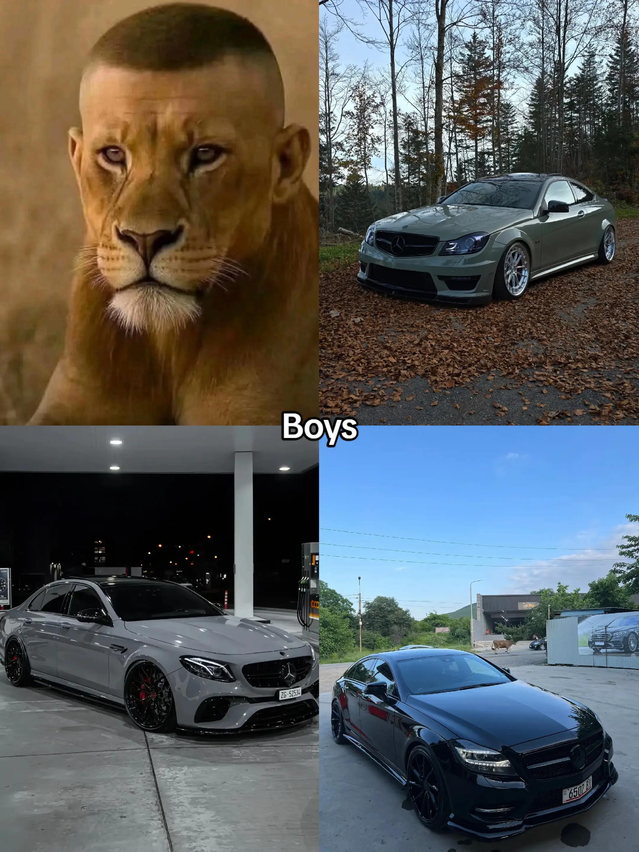 @𝑩𝑴𝑾