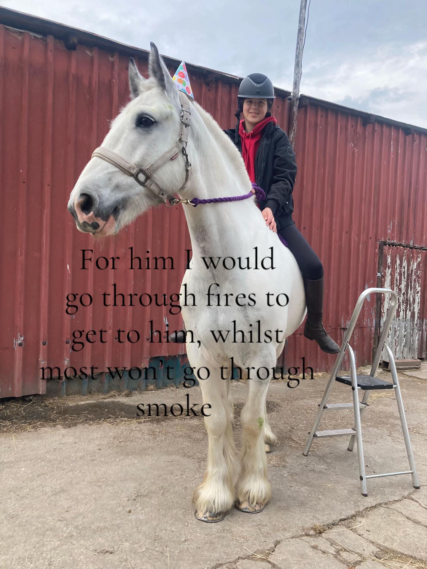 @horse