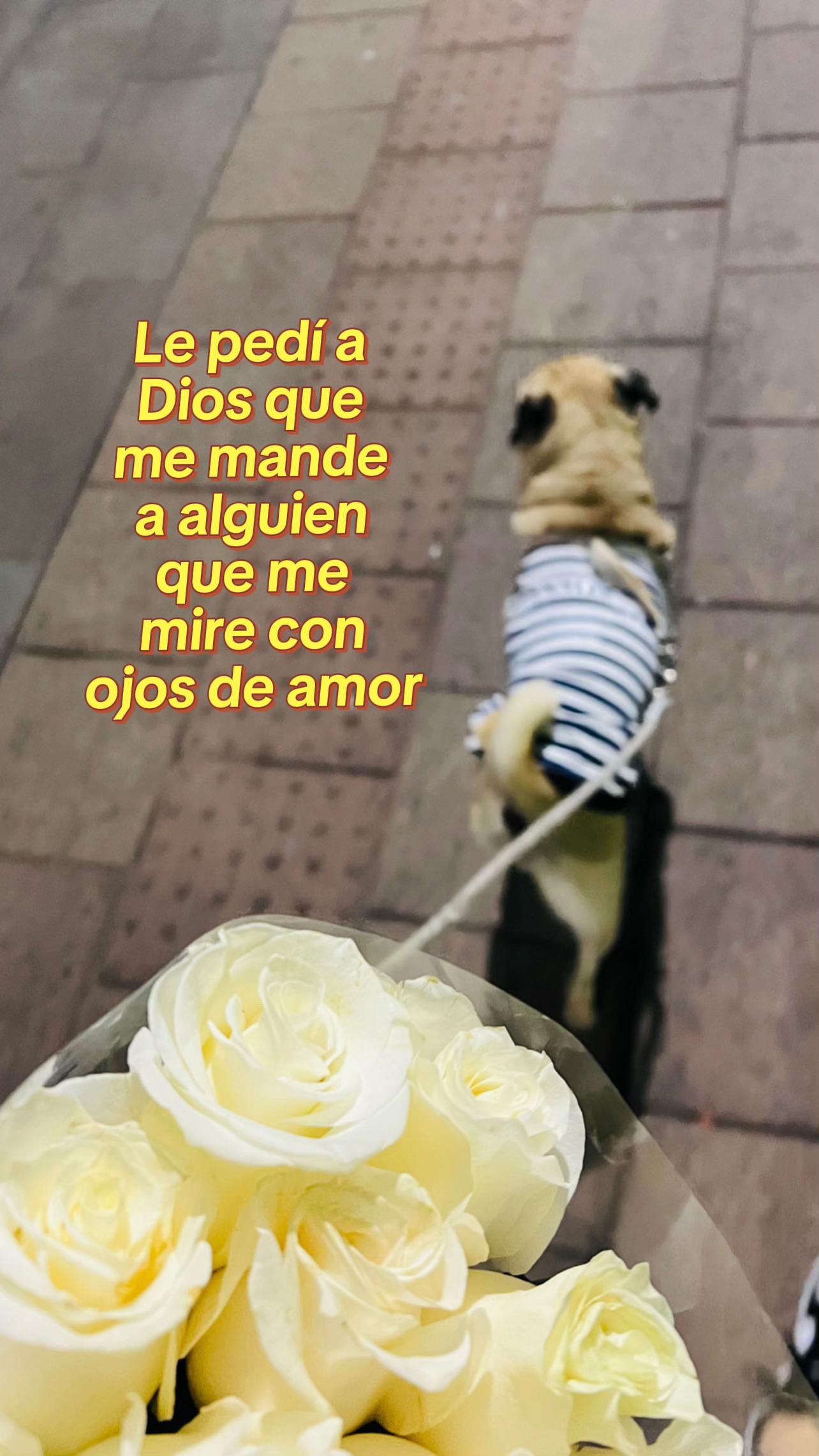 @Alexa&elcarnalchiss
