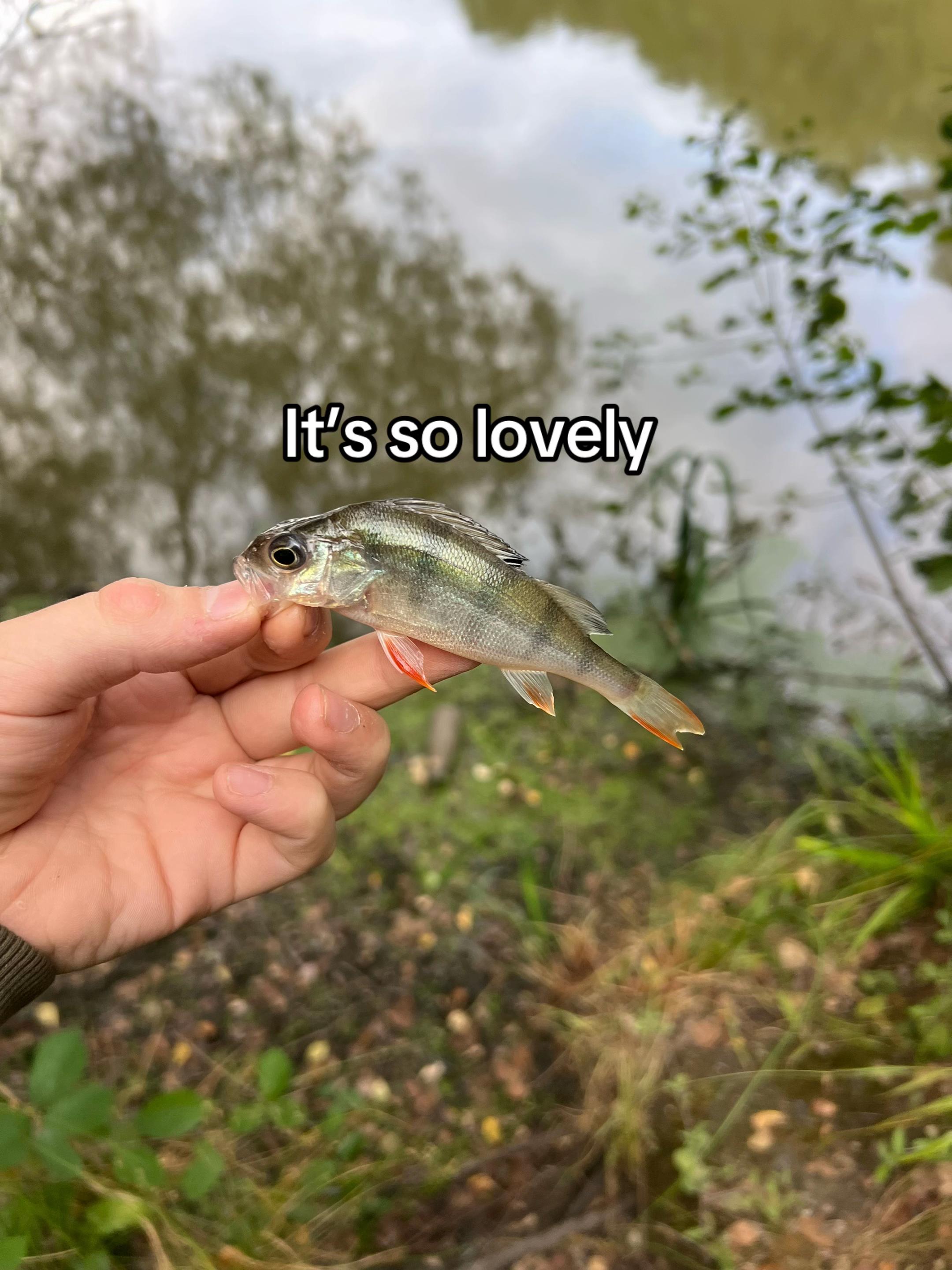 @🎣Mikey🎣