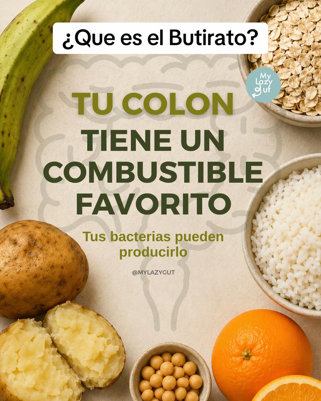 @Mylazygut/Digestión Saludable