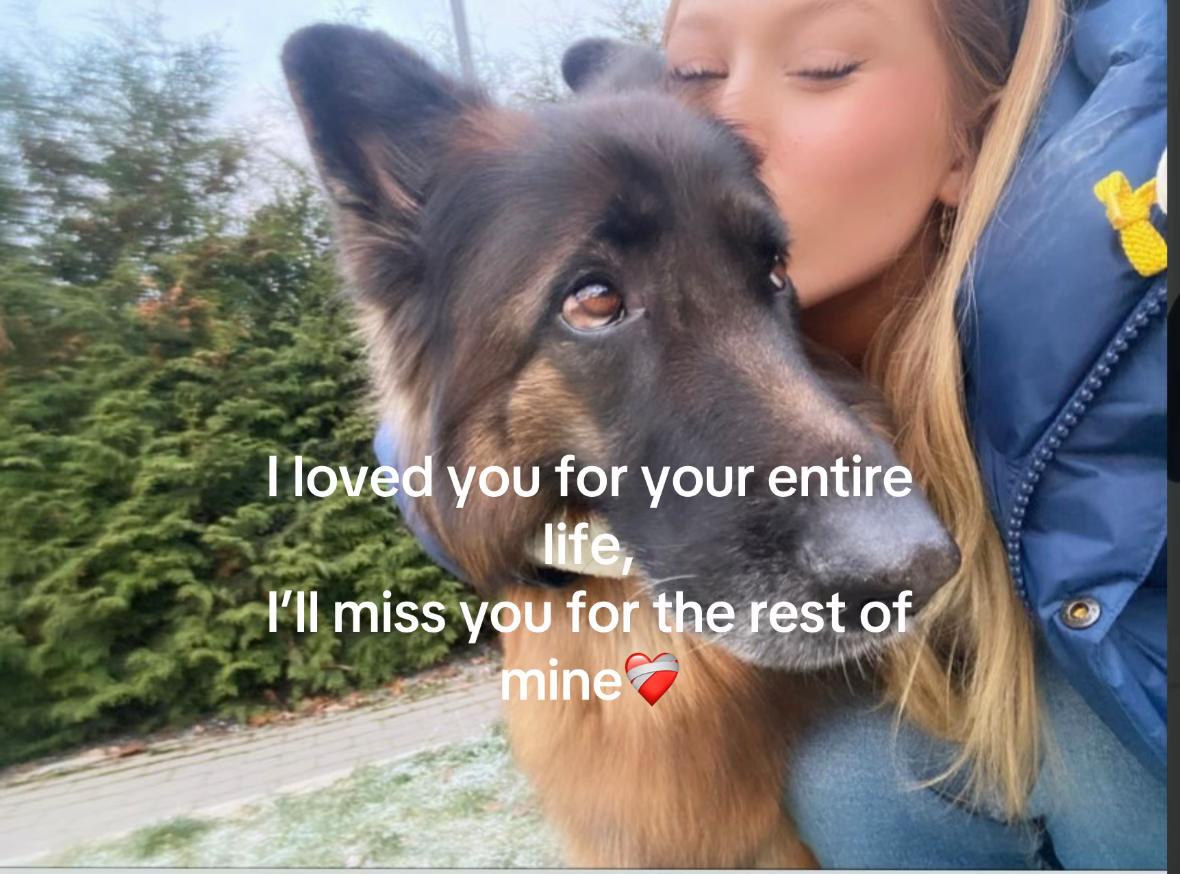 @tildestenquist