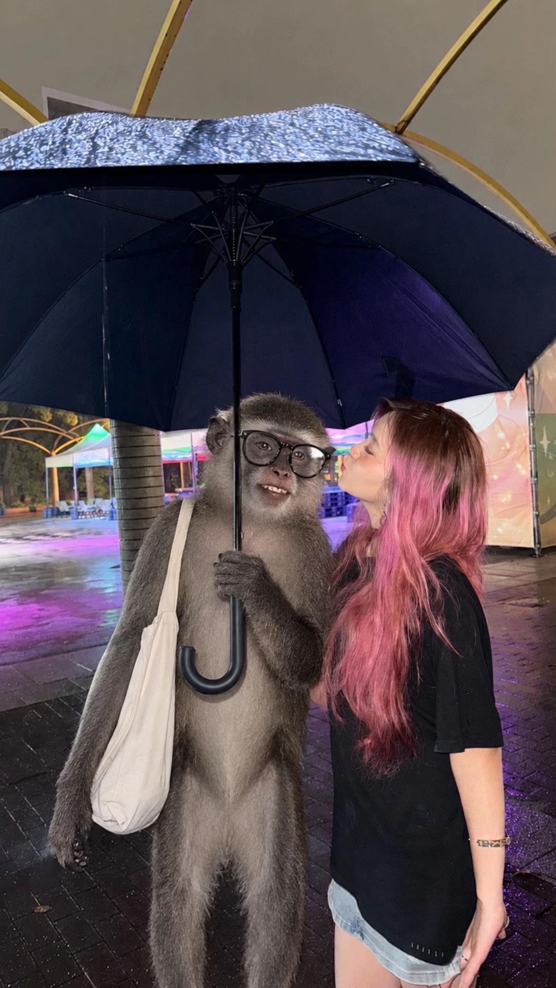 @Atikachan