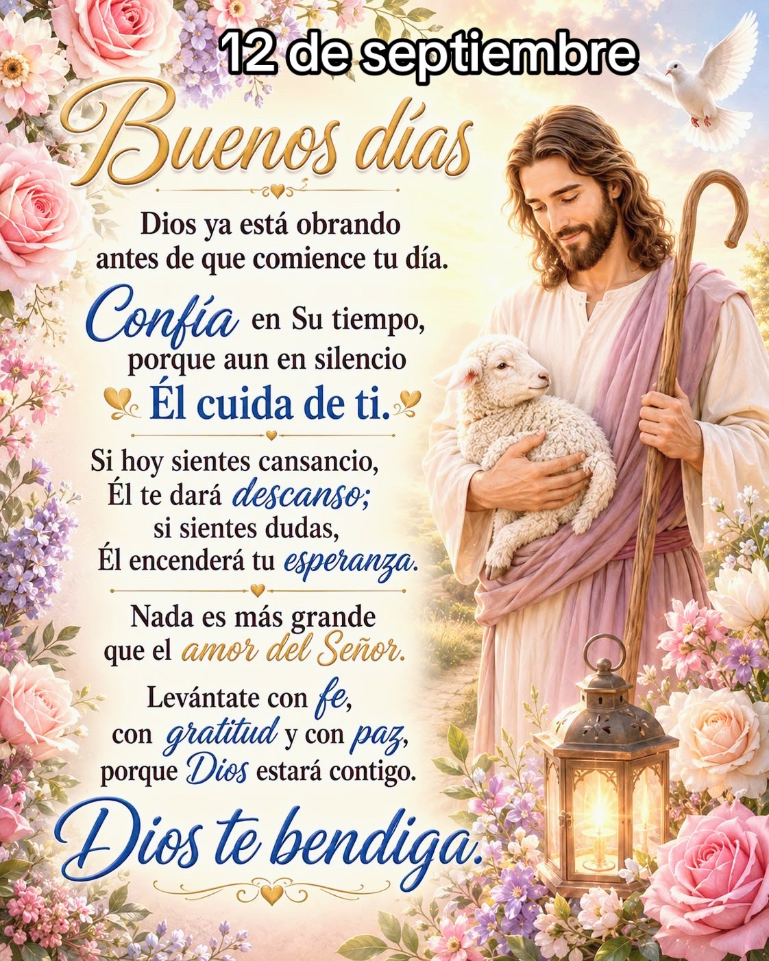 @8luisplaza8