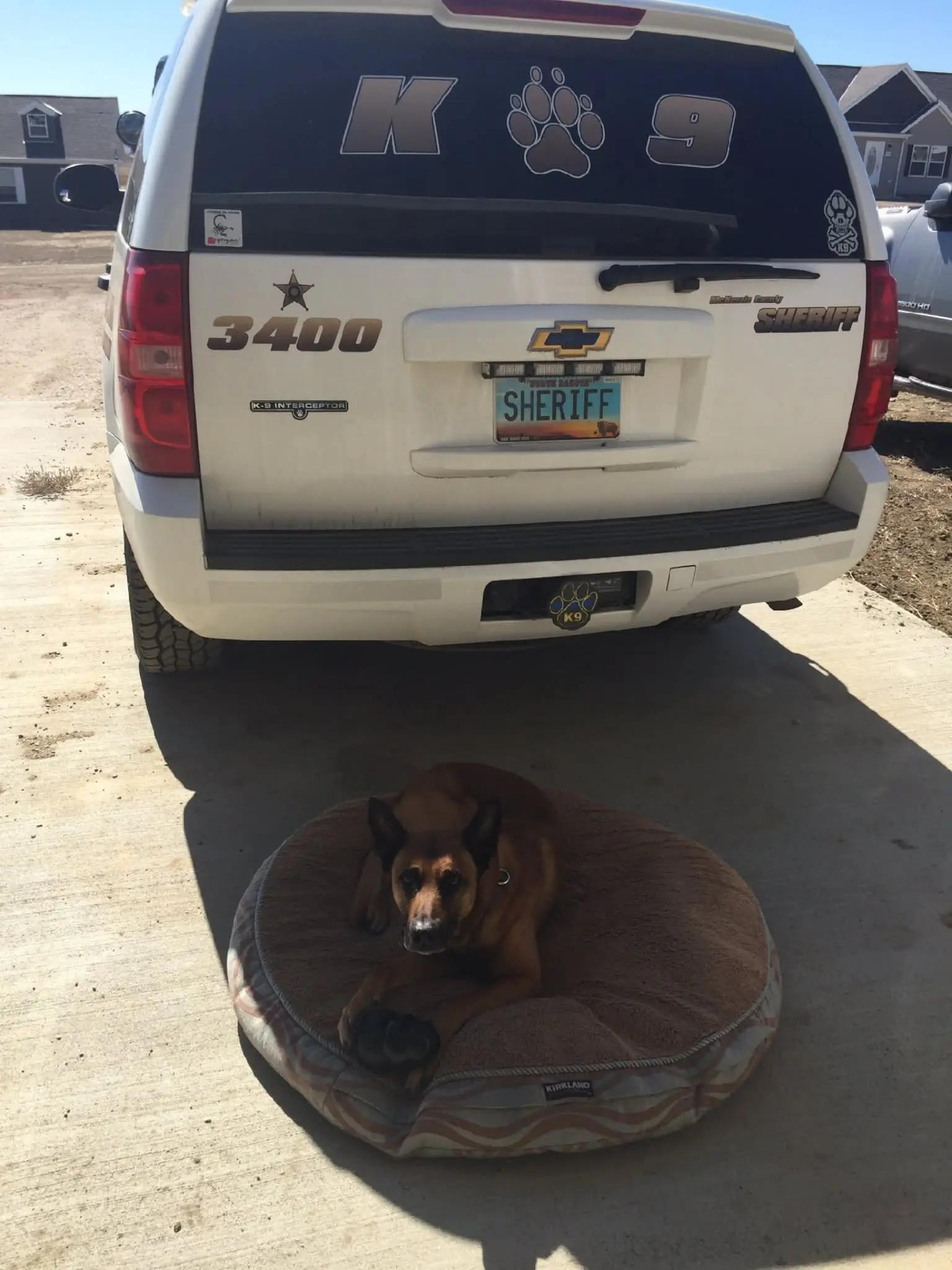 @BluePawsMatter