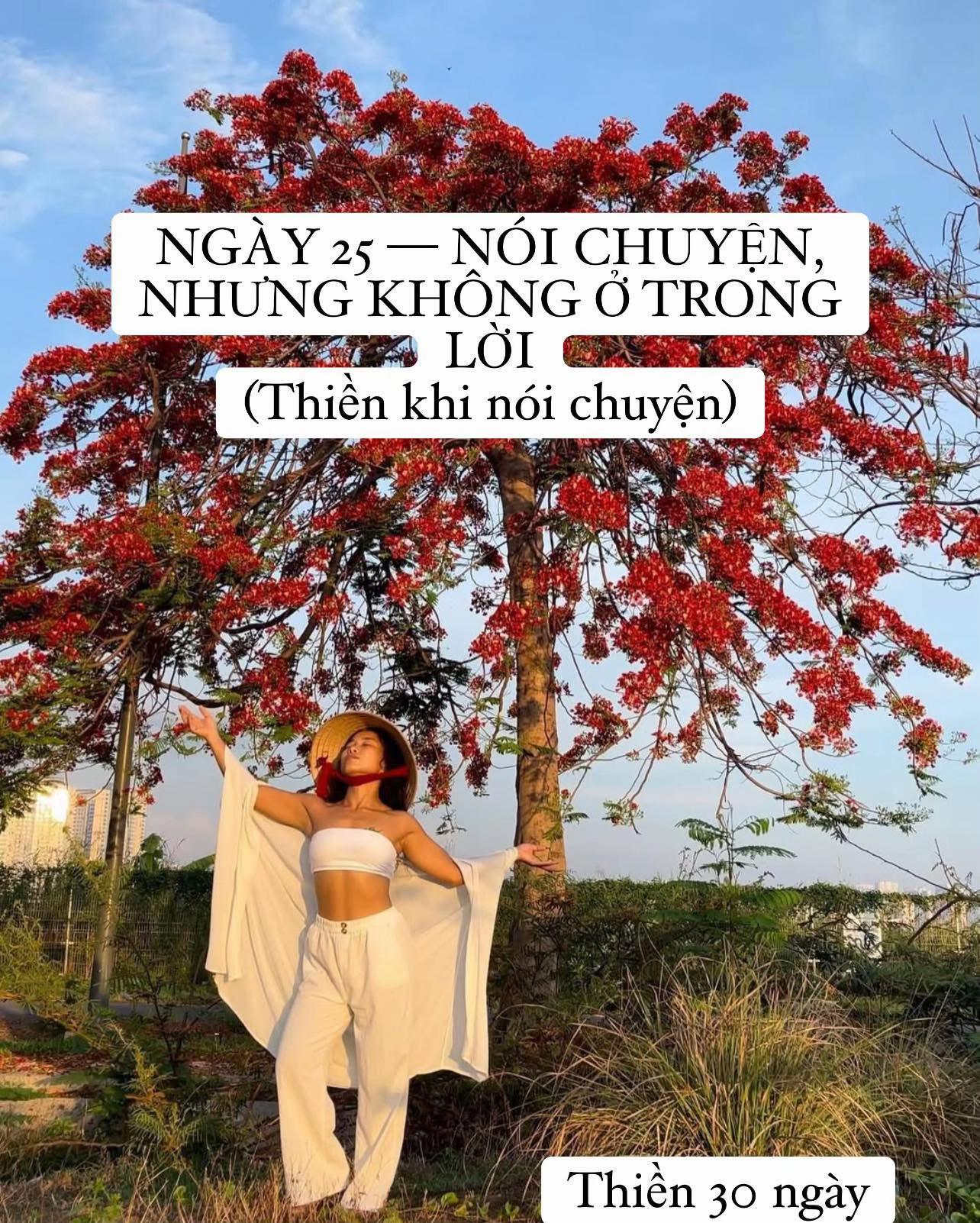 @buihoangbichtho