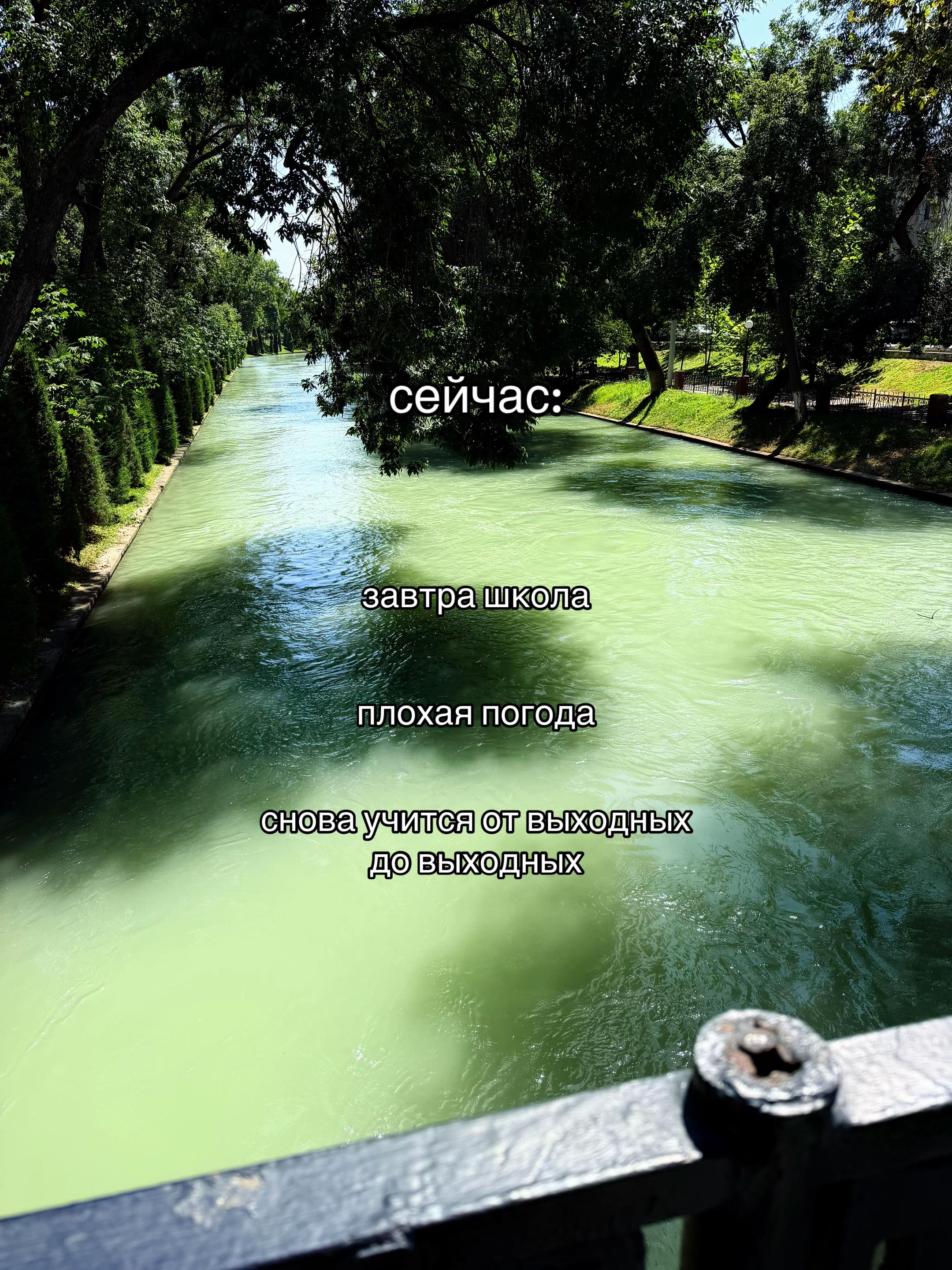 @Тгк:Кипа я🧤#VPN